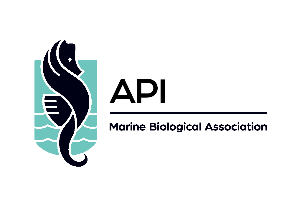 MBA API Logo